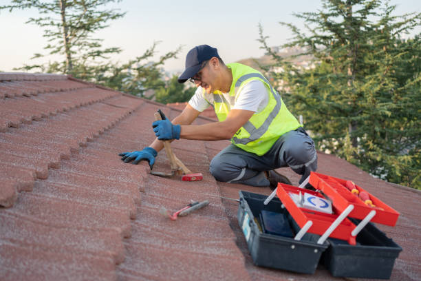 Best Roof Gutter Cleaning  in Forestde, AL
