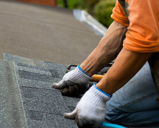Best Gutter Installation and Roofing  in Forestde, AL